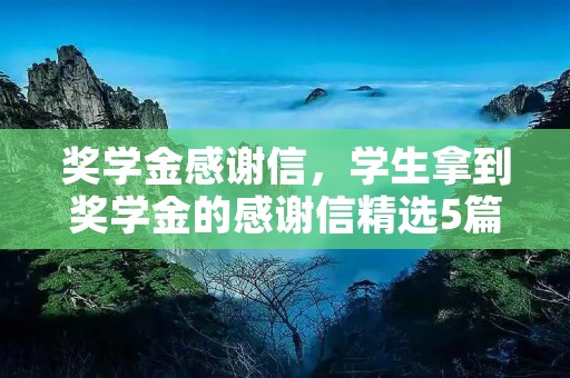 奖学金感谢信，学生拿到奖学金的感谢信精选5篇