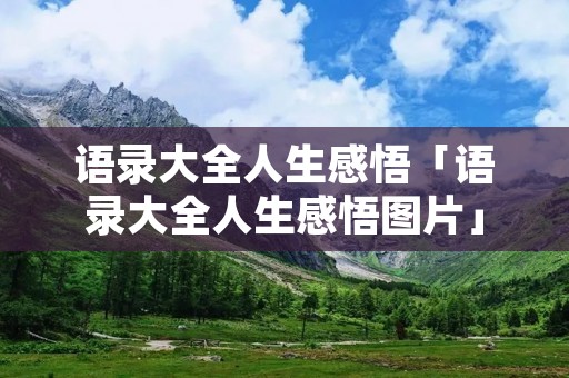 语录大全人生感悟「语录大全人生感悟图片」