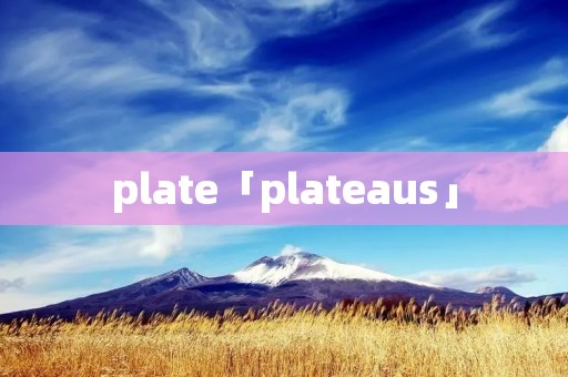 plate「plateaus」 plate「plateaus」