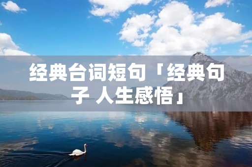 经典台词短句「经典句子 人生感悟」