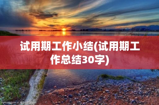 试用期工作小结(试用期工作总结30字)