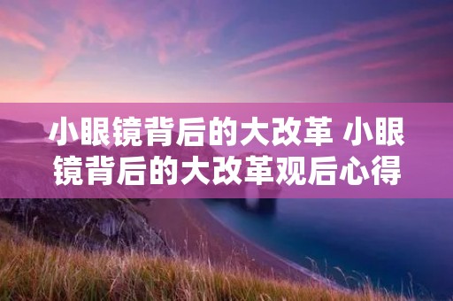 小眼镜背后的大改革 小眼镜背后的大改革观后心得作文五篇 小眼镜背后的大改革 小眼镜背后的大改革观后心得作文五篇