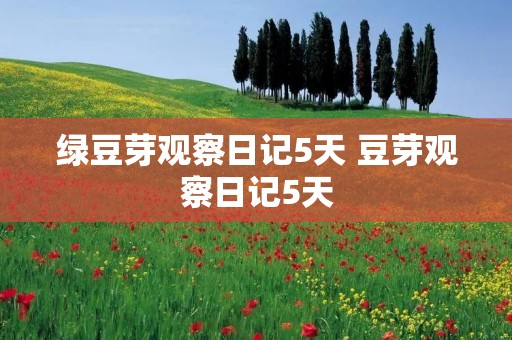 绿豆芽观察日记5天 豆芽观察日记5天