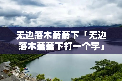 无边落木萧萧下「无边落木萧萧下打一个字」