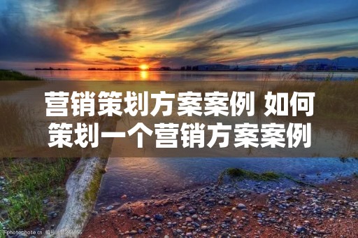 营销策划方案案例 如何策划一个营销方案案例