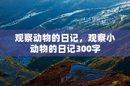 观察动物的日记,观察小动物的日记300字 观察动物的日记,观察小动物的日记300字