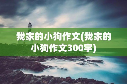 我家的小狗作文(我家的小狗作文300字)