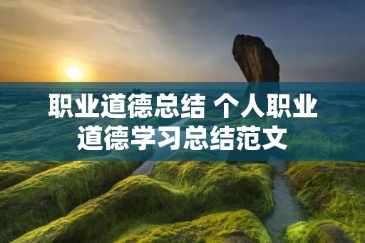 职业道德总结 个人职业道德学习总结范文