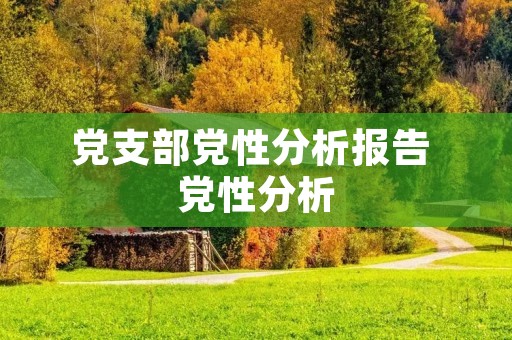 党支部党性分析报告 党性分析 党支部党性分析报告 党性分析
