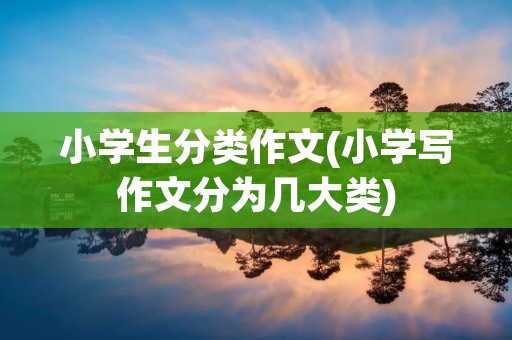 小学生分类作文(小学写作文分为几大类)