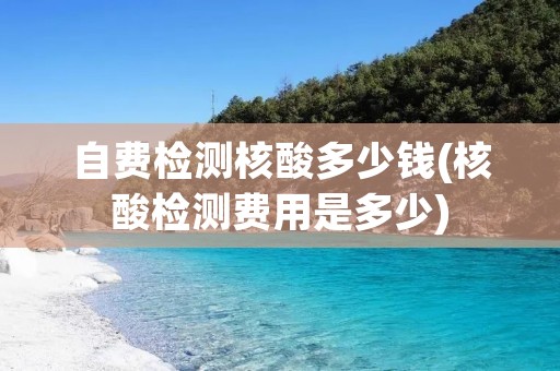 自费检测核酸多少钱(核酸检测费用是多少)