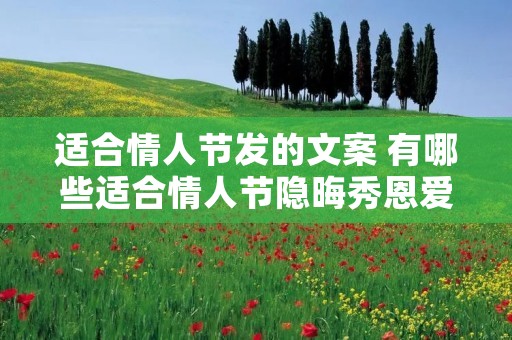适合情人节发的文案 有哪些适合情人节隐晦秀恩爱的朋友圈文案