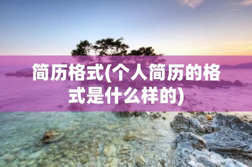 简历格式(个人简历的格式是什么样的) 简历格式(个人简历的格式是什么样的)