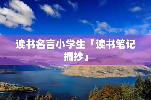 读书名言小学生「读书笔记摘抄」