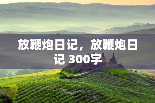 放鞭炮日记，放鞭炮日记 300字