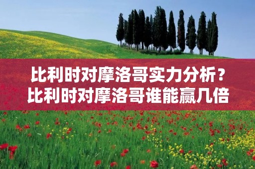 比利时对摩洛哥实力分析？比利时对摩洛哥谁能赢几倍