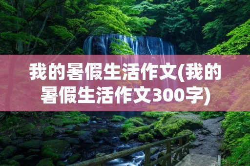 我的暑假生活作文(我的暑假生活作文300字) 我的暑假生活作文(我的暑假生活作文300字)