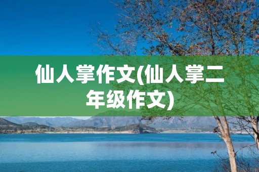 仙人掌作文(仙人掌二年级作文)