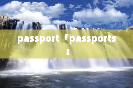 passport「passports」