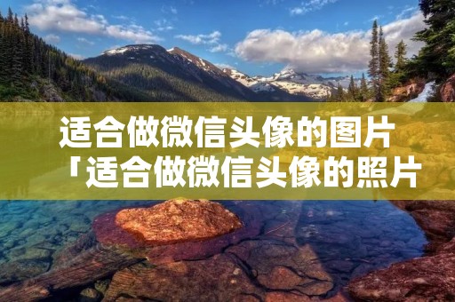 适合做微信头像的图片「适合做微信头像的照片」