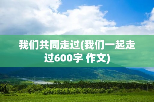 我们共同走过(我们一起走过600字 作文)