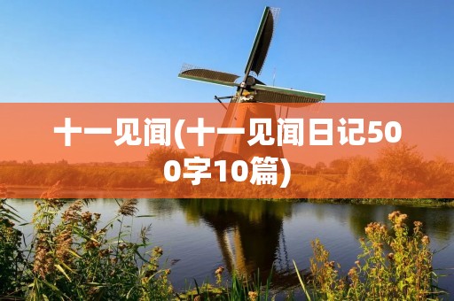 十一见闻(十一见闻日记500字10篇)