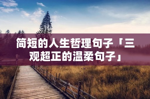 简短的人生哲理句子「三观超正的温柔句子」