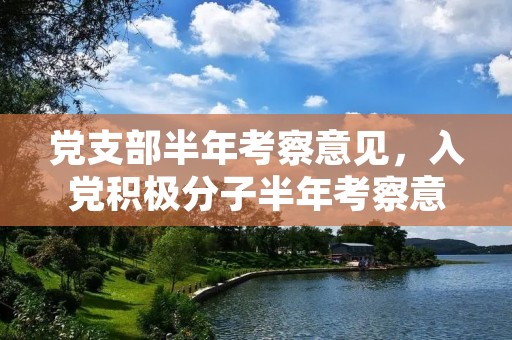 党支部半年考察意见,入党积极分子半年考察意见时间怎么填