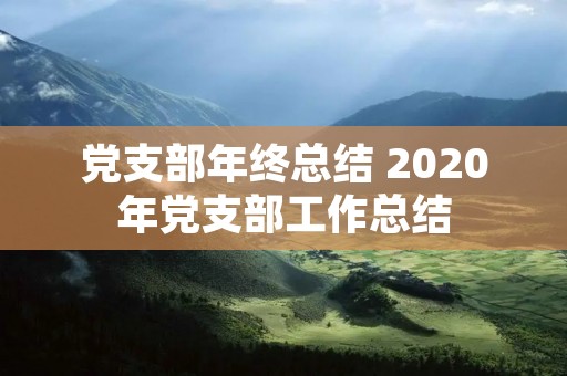 党支部年终总结 2020年党支部工作总结 党支部年终总结 2020年党支部工作总结