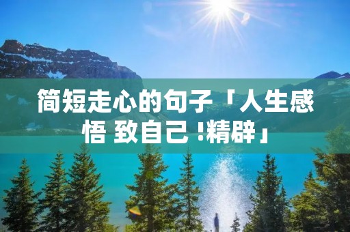 简短走心的句子「人生感悟 致自己 !精辟」