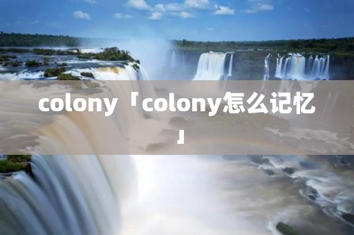 colony「colony怎么记忆」