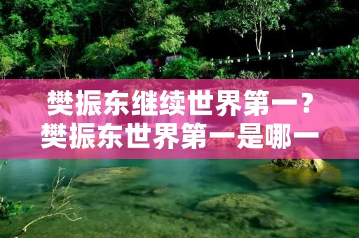 樊振东继续世界第一？樊振东世界第一是哪一年