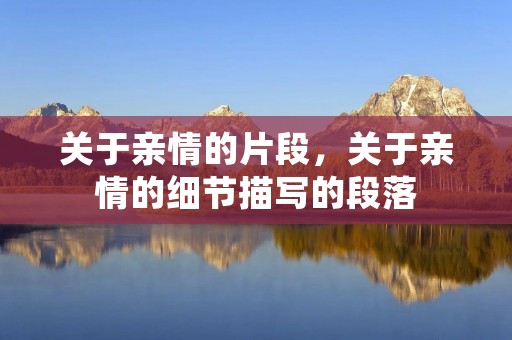 关于亲情的片段,关于亲情的细节描写的段落