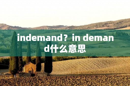 indemand?in demand什么意思