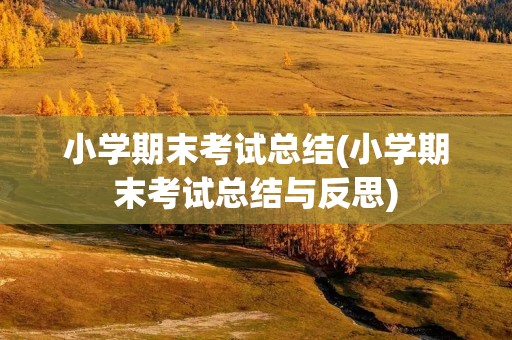 小学期末考试总结(小学期末考试总结与反思)