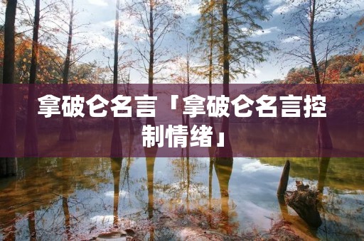 拿破仑名言「拿破仑名言控制情绪」