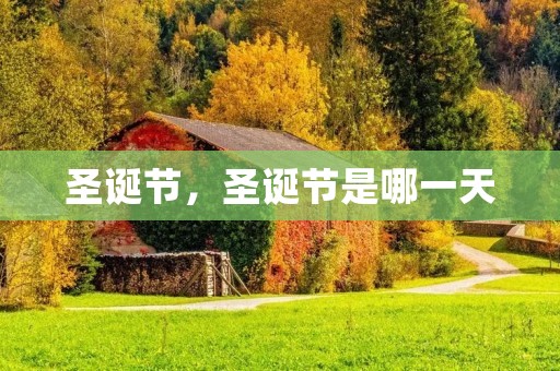 圣诞节,圣诞节是哪一天 圣诞节,圣诞节是哪一天