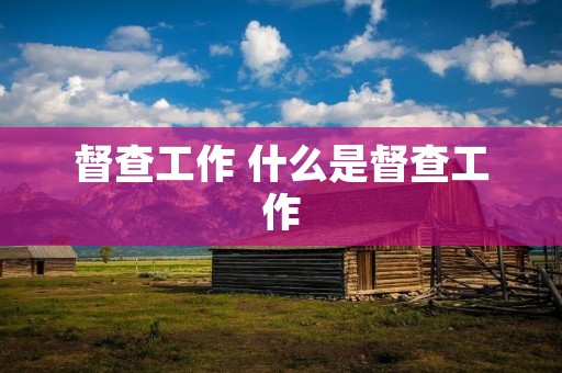 督查工作 什么是督查工作