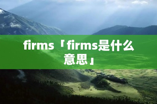 firms「firms是什么意思」