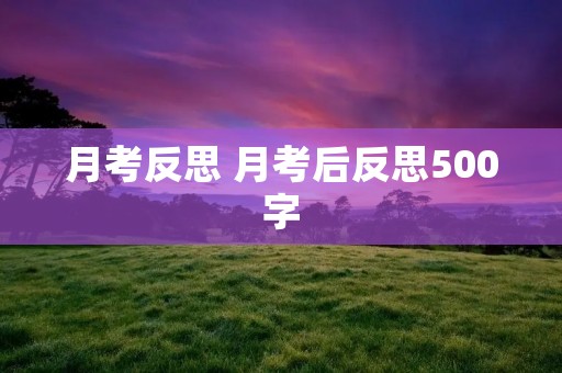 月考反思 月考后反思500字