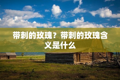 带刺的玫瑰?带刺的玫瑰含义是什么 带刺的玫瑰?带刺的玫瑰含义是什么