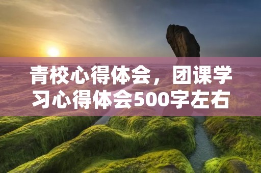 青校心得体会,团课学习心得体会500字左右