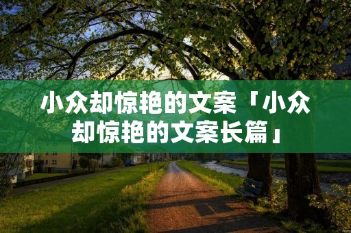 小众却惊艳的文案「小众却惊艳的文案长篇」