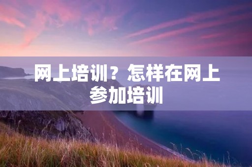 网上培训?怎样在网上参加培训