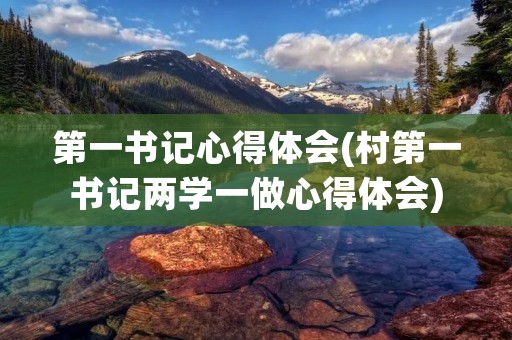 第一书记心得体会(村第一书记两学一做心得体会)