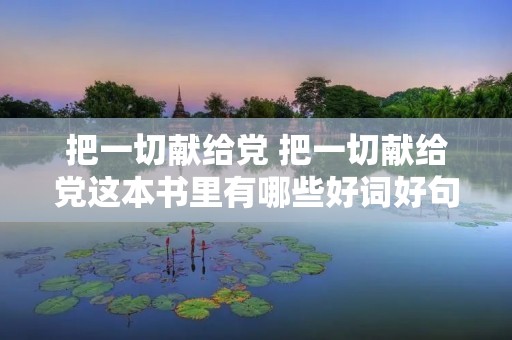 把一切献给党 把一切献给党这本书里有哪些好词好句。