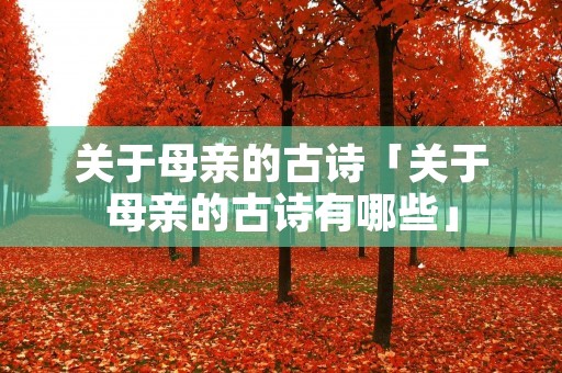 关于母亲的古诗「关于母亲的古诗有哪些」