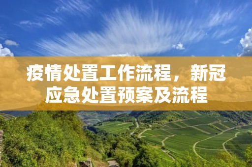 **处置工作流程，**应急处置预案及流程