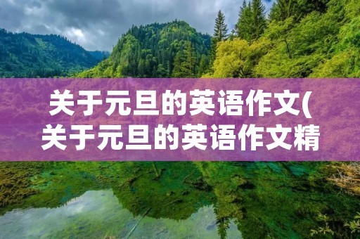 关于元旦的英语作文(关于元旦的英语作文精选【十篇】)