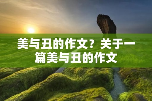 美与丑的作文?关于一篇美与丑的作文 美与丑的作文?关于一篇美与丑的作文